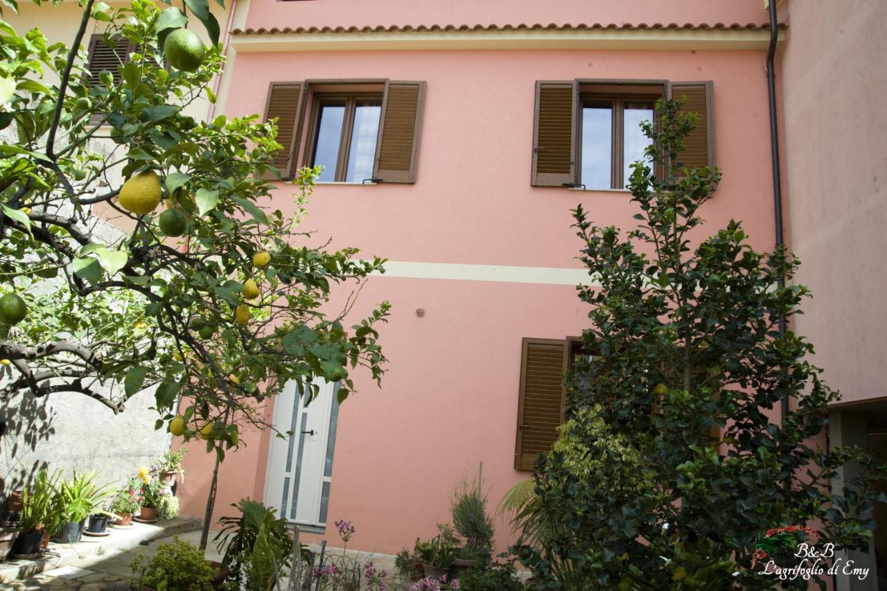 L'Agrifoglio Di Emy Bed & Breakfast กุซปีนี ภายนอก รูปภาพ