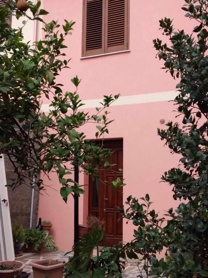 L'Agrifoglio Di Emy Bed & Breakfast กุซปีนี ภายนอก รูปภาพ