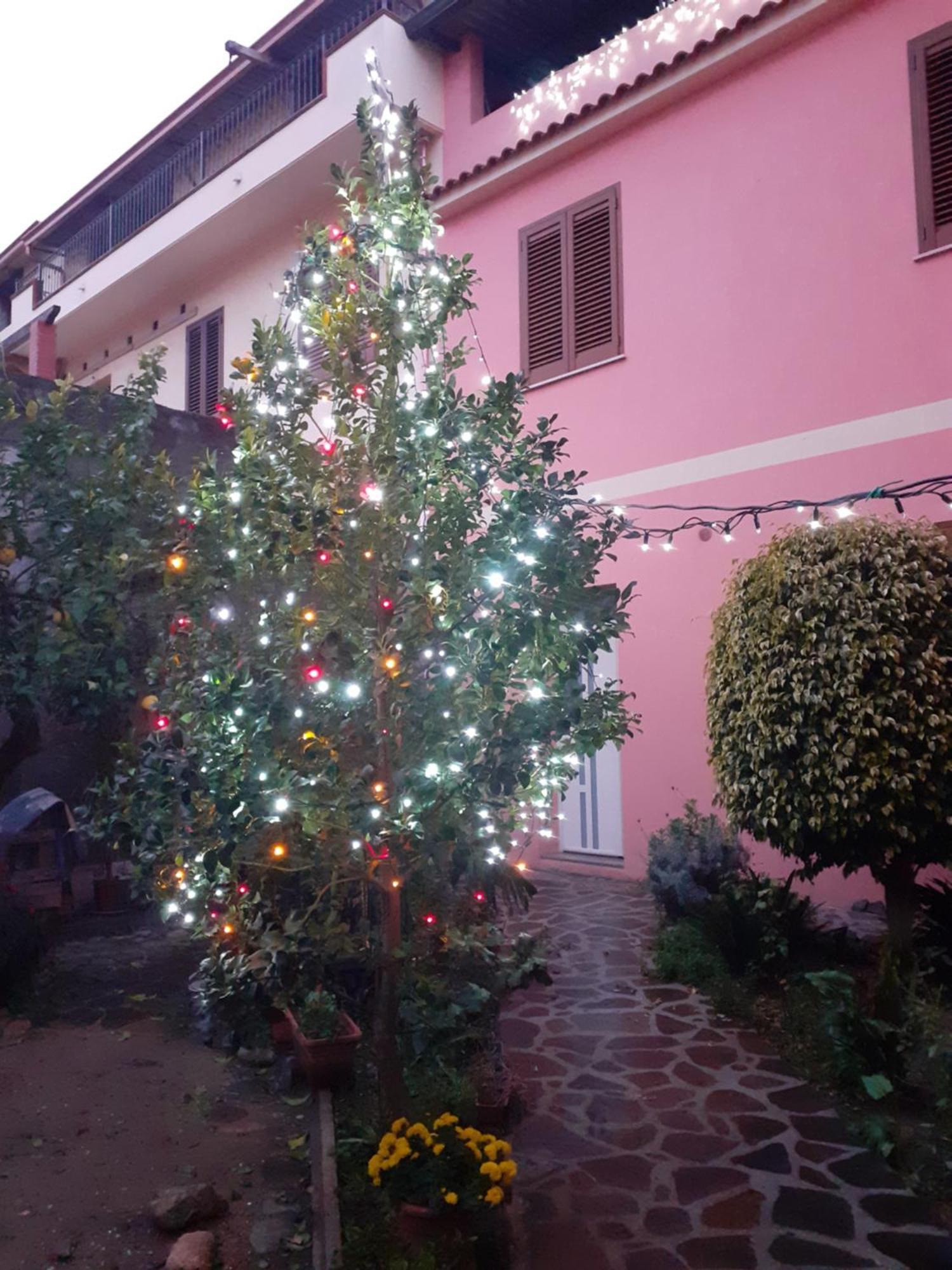 L'Agrifoglio Di Emy Bed & Breakfast กุซปีนี ภายนอก รูปภาพ